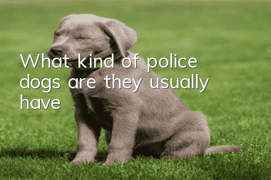 What kind of police dogs are they usually have?