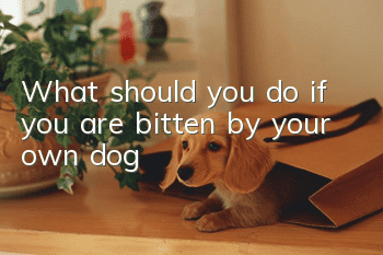 What should you do if you are bitten by your own dog?