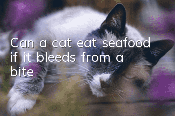 Can a cat eat seafood if it bleeds from a bite?