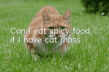 Can I eat spicy food if I have cat moss?