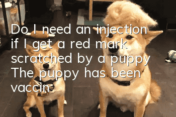 Do I need an injection if I get a red mark scratched by a puppy? The puppy has been vaccinated