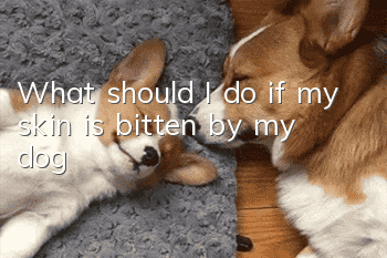 What should I do if my skin is bitten by my dog?