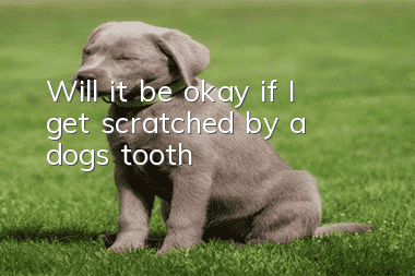 Will it be okay if I get scratched by a dog's tooth?