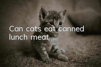 Can cats eat canned lunch meat?