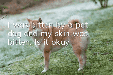 I was bitten by a pet dog and my skin was bitten. Is it okay?