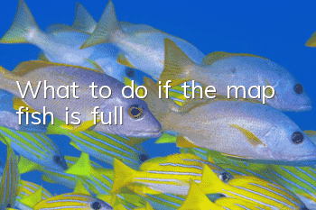 What to do if the map fish is full