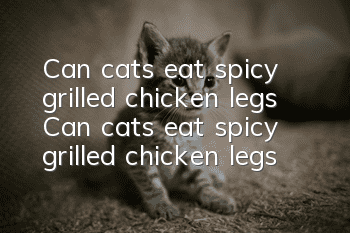 Can cats eat spicy grilled chicken legs? Can cats eat spicy grilled chicken legs?