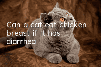 Can a cat eat chicken breast if it has diarrhea?