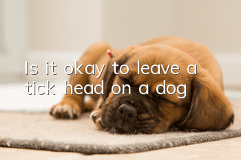 Is it okay to leave a tick head on a dog?