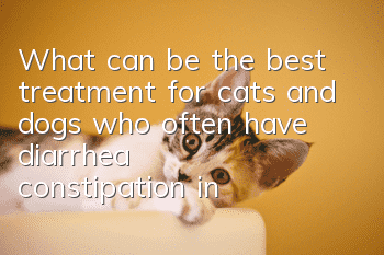 What can be the best treatment for cats and dogs who often have diarrhea, constipation, indigestion, bad stool and bad breath?
