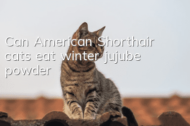 Can American Shorthair cats eat winter jujube powder?