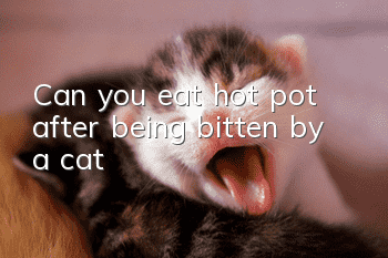 Can you eat hot pot after being bitten by a cat?