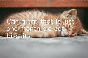 Can a cat that is just one month old eat biscuits?