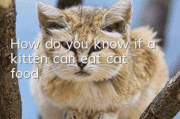 How do you know if a kitten can eat cat food?