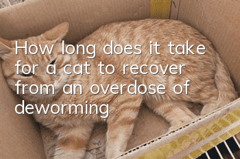 How long does it take for a cat to recover from an overdose of deworming?
