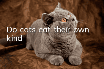 Do cats eat their own kind?