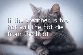 If the weather is too hot, will the cat die from the heat?