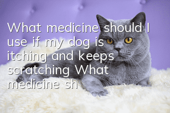 What medicine should I use if my dog is itching and keeps scratching? What medicine should I use if my dog is itching?