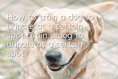 How to train a dog to urinate at a certain spot? Train a dog to urinate at a certain spot!