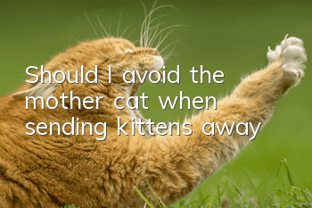 Should I avoid the mother cat when sending kittens away?