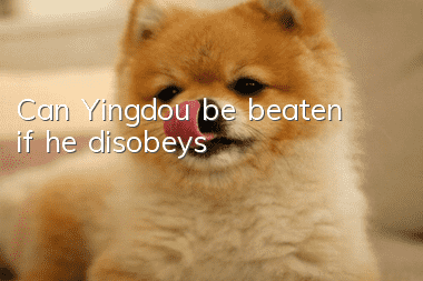 Can Yingdou be beaten if he disobeys?
