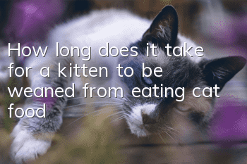 How long does it take for a kitten to be weaned from eating cat food?