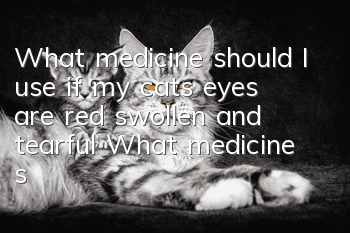 What medicine should I use if my cat’s eyes are red, swollen and tearful? What medicine should I use if my cat’s eyes are red, swollen and tearful?