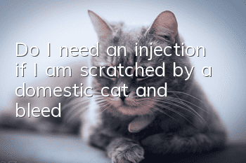 Do I need an injection if I am scratched by a domestic cat and bleed?