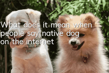 What does it mean when people say native dog on the internet?