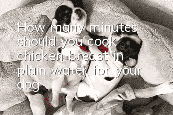 How many minutes should you cook chicken breast in plain water for your dog?