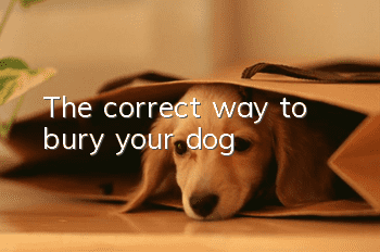 The correct way to bury your dog