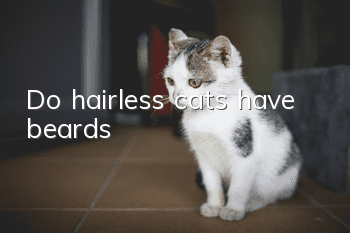 Do hairless cats have beards?
