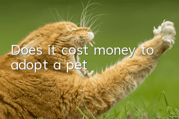 Does it cost money to adopt a pet?