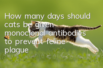How many days should cats be given monoclonal antibodies to prevent feline plague?