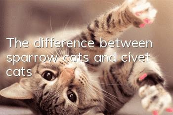 The difference between sparrow cats and civet cats