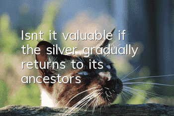 Isn’t it valuable if the silver gradually returns to its ancestors?