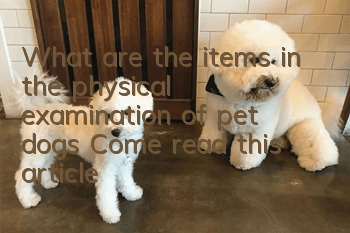 What are the items in the physical examination of pet dogs? Come read this article!