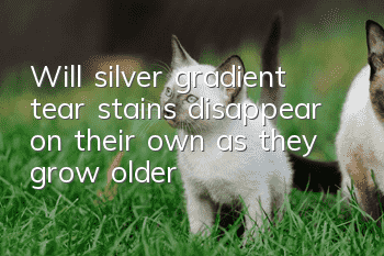 Will silver gradient tear stains disappear on their own as they grow older?