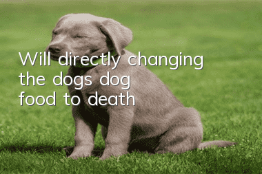 Will directly changing the dog's dog food to death?