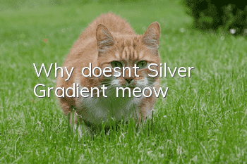 Why doesn’t Silver Gradient meow?