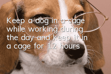 Keep a dog in a cage while working during the day and keep it in a cage for 12 hours