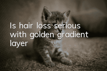 Is hair loss serious with golden gradient layer?