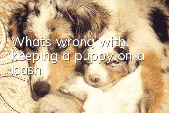 What's wrong with keeping a puppy on a leash?