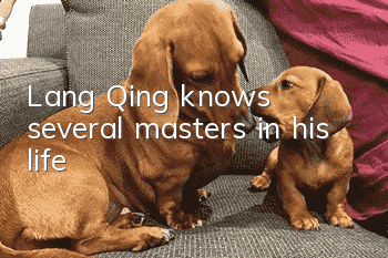 Lang Qing knows several masters in his life