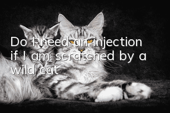 Do I need an injection if I am scratched by a wild cat?