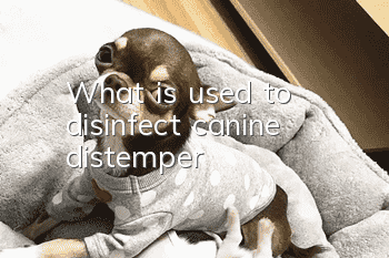 What is used to disinfect canine distemper?