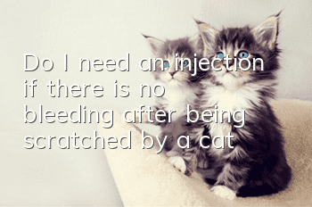 Do I need an injection if there is no bleeding after being scratched by a cat?