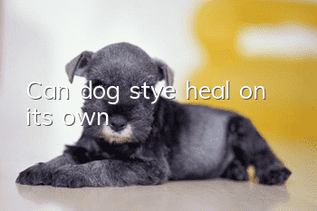 Can dog stye heal on its own?