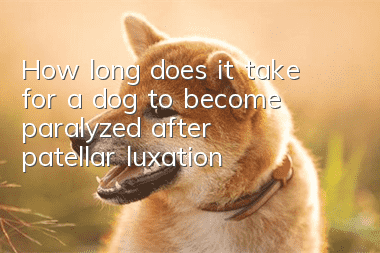 How long does it take for a dog to become paralyzed after patellar luxation?