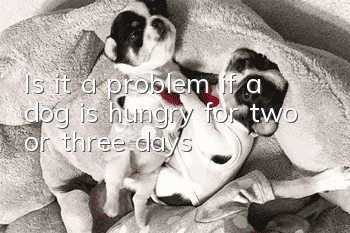 Is it a problem if a dog is hungry for two or three days?